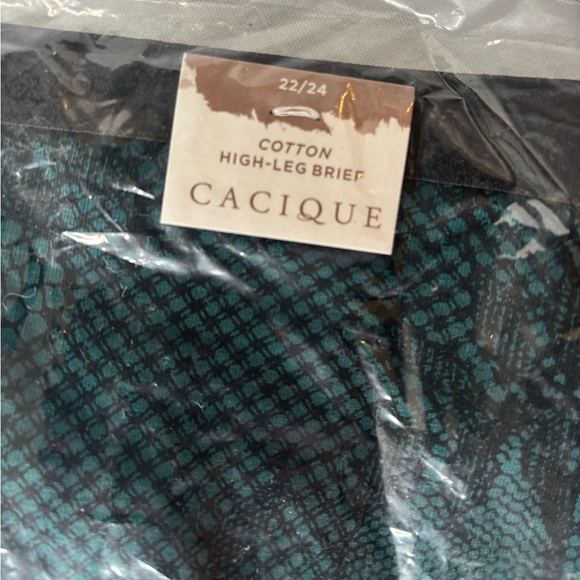 5 pair of Cacique (Lane Bryant) panties size 22/24. - Picture 5 of 10